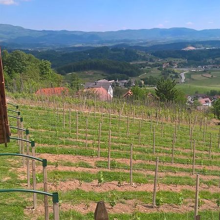Vineyard Cottage Lustek نوفو ميستو المظهر الخارجي الصورة