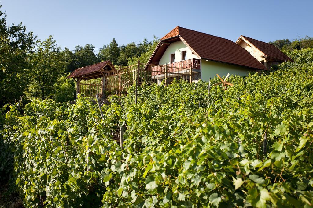 Vineyard Cottage Lustek نوفو ميستو المظهر الخارجي الصورة