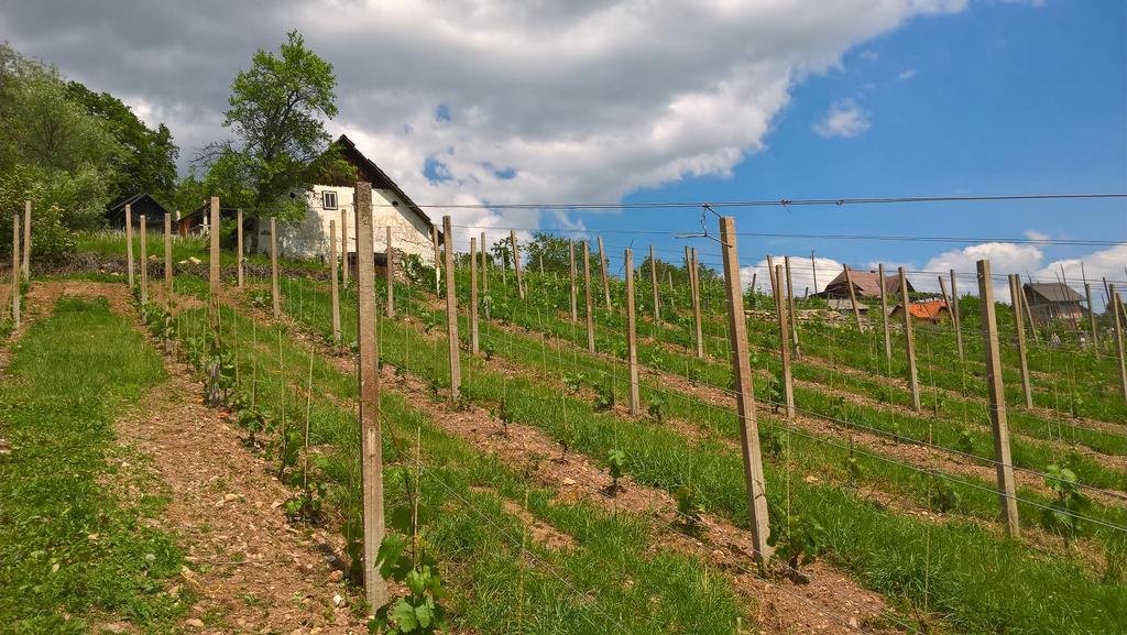 Vineyard Cottage Lustek نوفو ميستو المظهر الخارجي الصورة