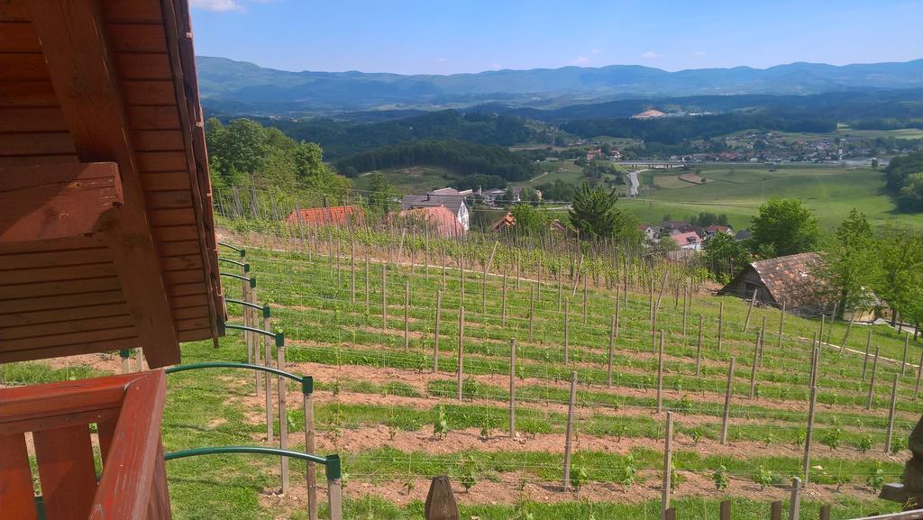 Vineyard Cottage Lustek نوفو ميستو المظهر الخارجي الصورة